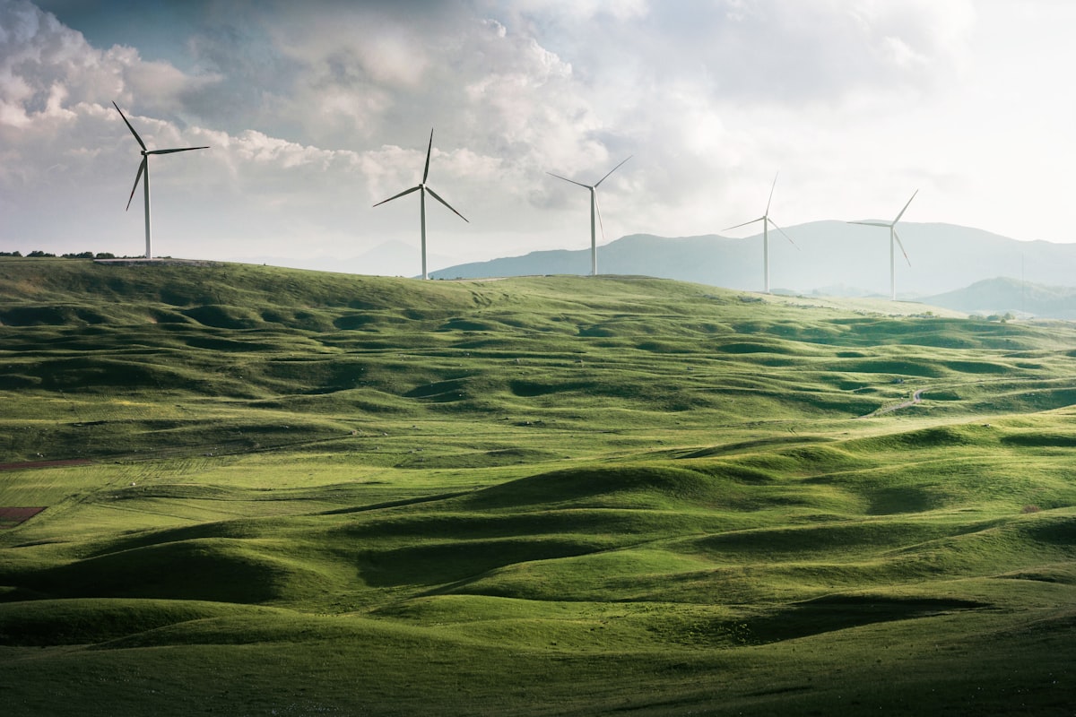 SOGREEN Sosyal Kapsayıcı Yeşil Geçiş Projesi destek görseli